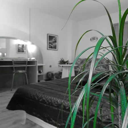 Color Otel 3*