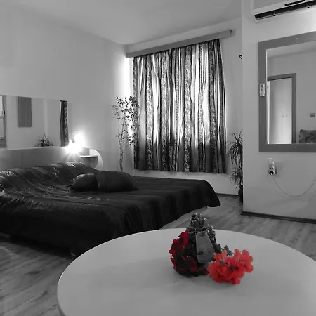 Otel Color 3*