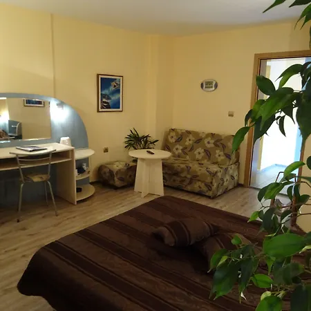 Hotel Color 3*