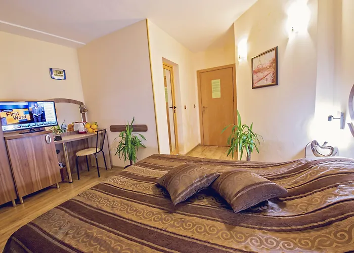 彩色酒店 酒店 3*